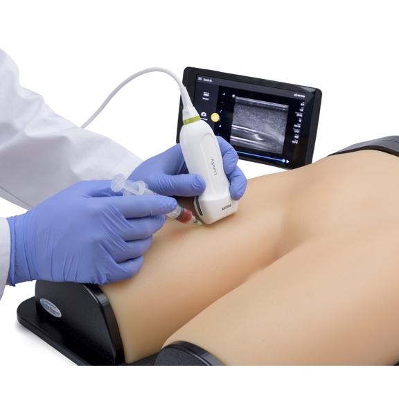 Gen II Femoral Vascular Access & Regional Anesthesia Ultrasound Training Model - Medical Simulation for Ultrasound-Guided Procedures Practice