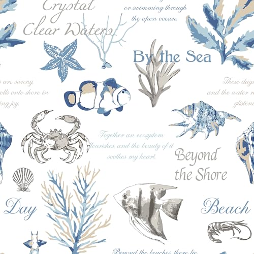 Flag Stripe / Ocean Stories