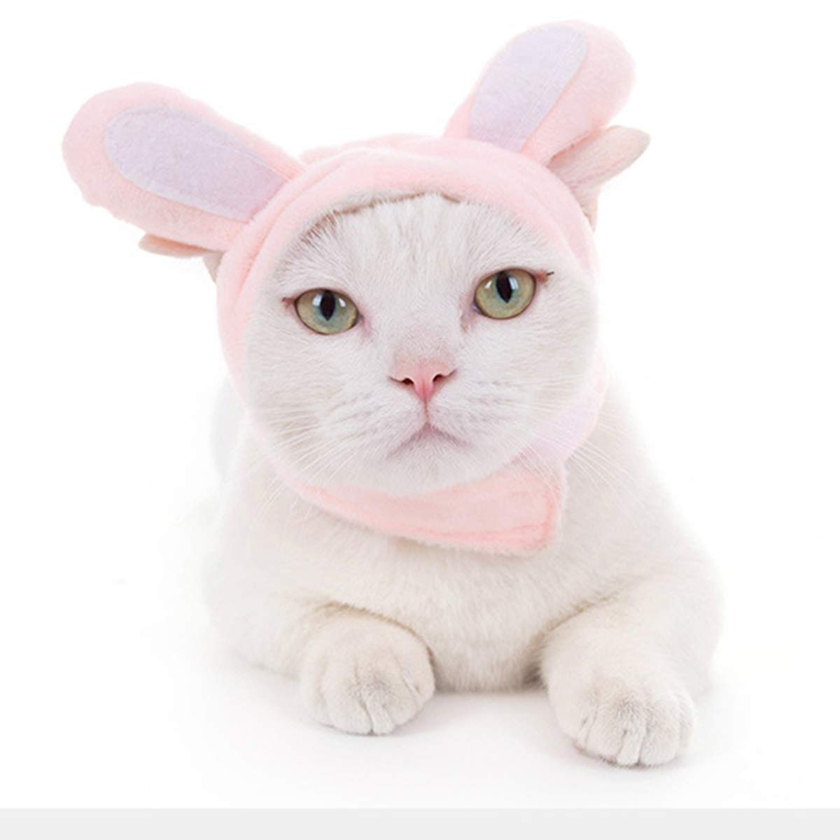 Cute Cat Costume with Animal Ears - Bunny, Bee, Penguin & Duck Outfits for Pets | Perfect for Halloween, Parties & Dress-Up Fun