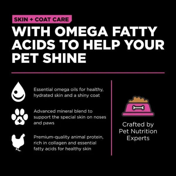 Go! Solutions Skin & Coat Care Chicken Recipe with Grains Dry Cat Food - Premium Protein for Healthy Fur & Skin - Perfect for Indoor & Outdoor Cats