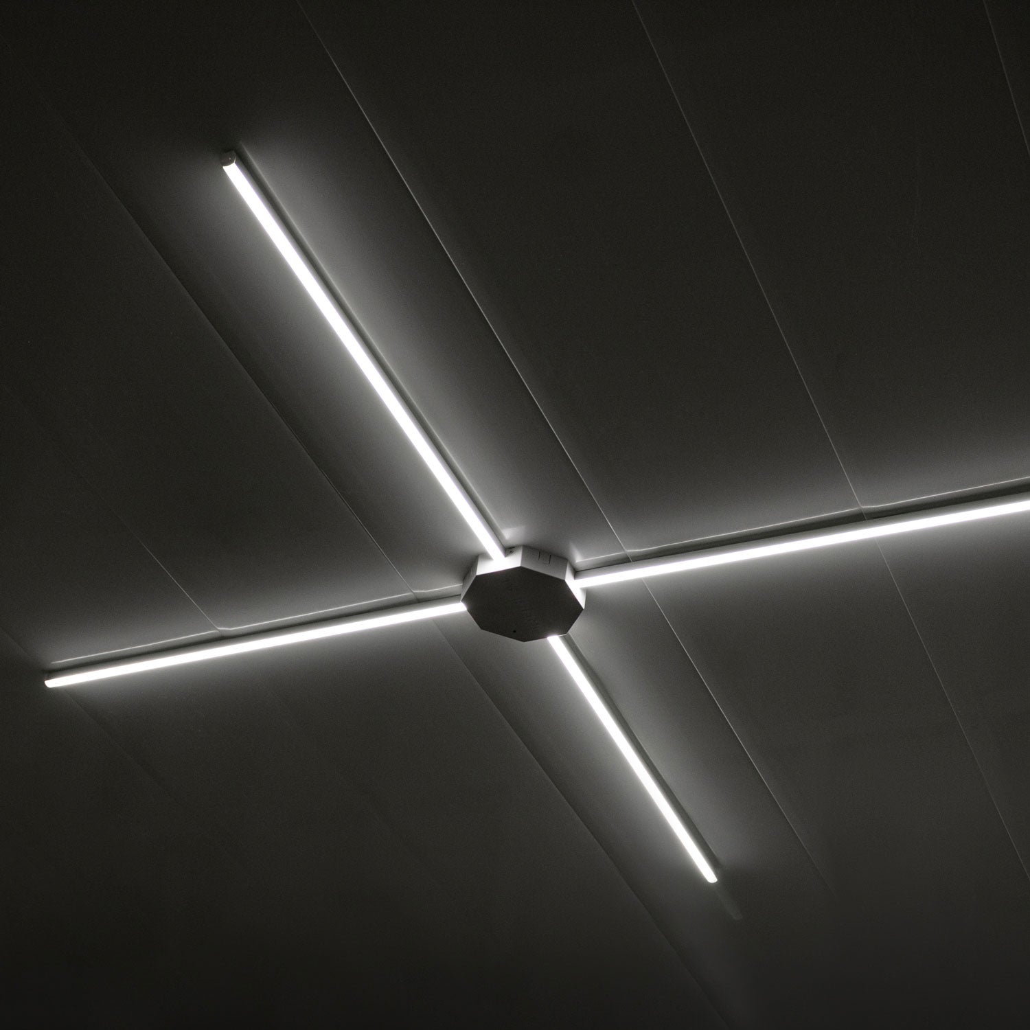 Horizon 30 ft. LED Light Kit - Lynk Bright White Outdoor String Lights for Patio, Garden, and Backyard Decor