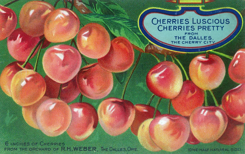 Premium 12x18 Wall Art Poster - The Dalles Oregon Cherries from Cherry City - Home Decor, Living Room, Bedroom, Office, Kitchen Wall Decoration - Perfect Gift for Cherry Lovers & Pacific Northwest Enthusiasts