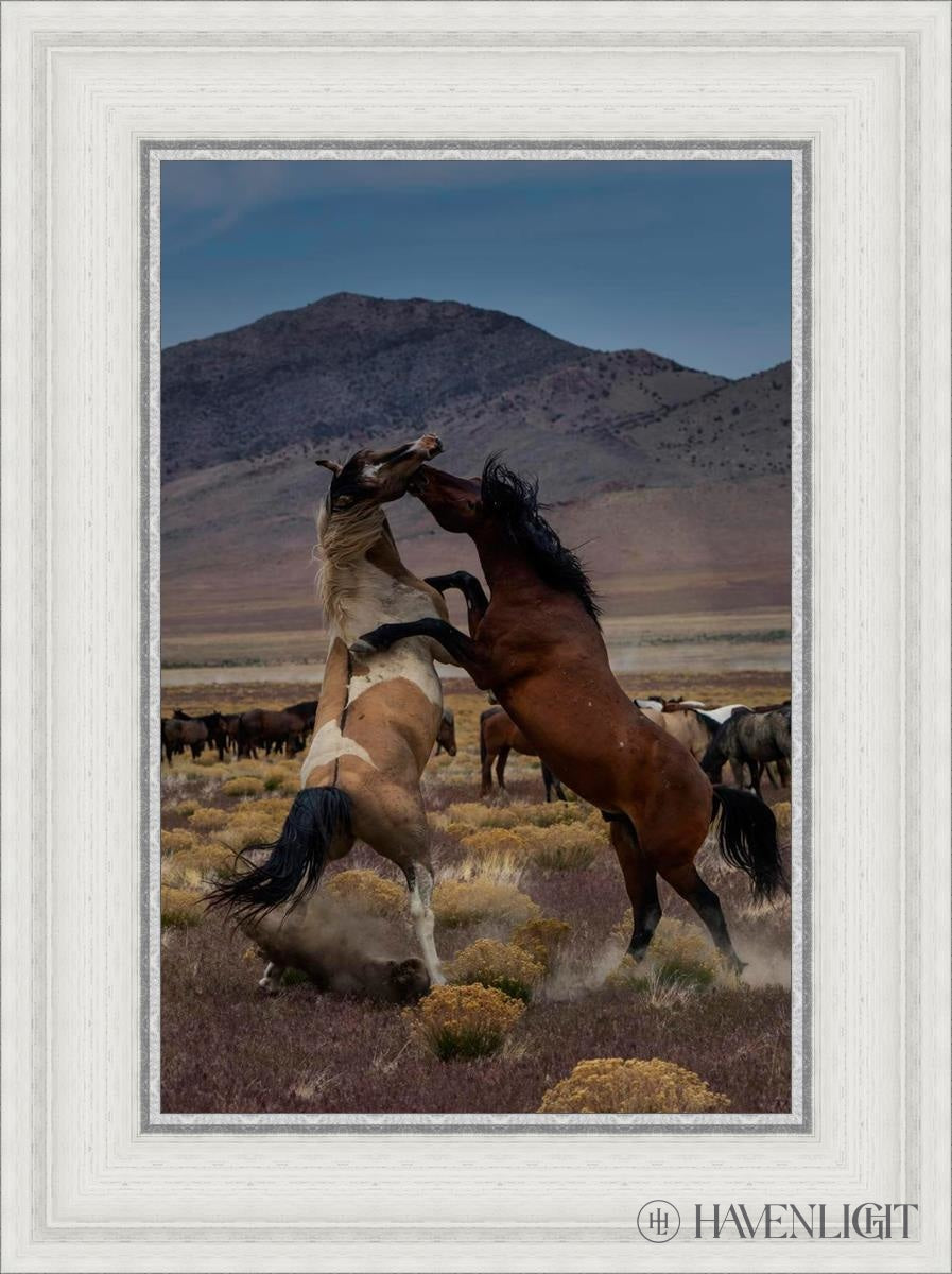 Desert Duel 1 by Greg Sargent - Western Adventure Novel for Adults | Perfect for Book Clubs, Gifts & Western Fiction Fans