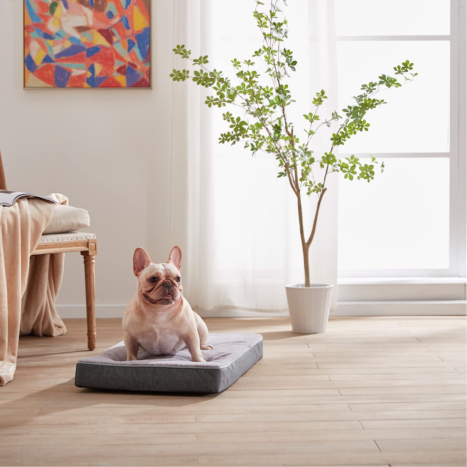 Orthopedic Memory Foam Cooling Dog Bed for Medium Dogs - Washable Pet Bed with Faux Fur Cover & Waterproof Lining (29 Inch) - Perfect for Crates, Kennels & Home Use