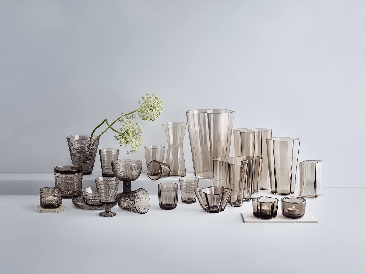 Iittala Alvar Aalto Collection Vase - 8.7 Inch Modern Scandinavian Glass Vase for Home Decor, Floral Arrangement & Wedding Centerpiece | Linen White