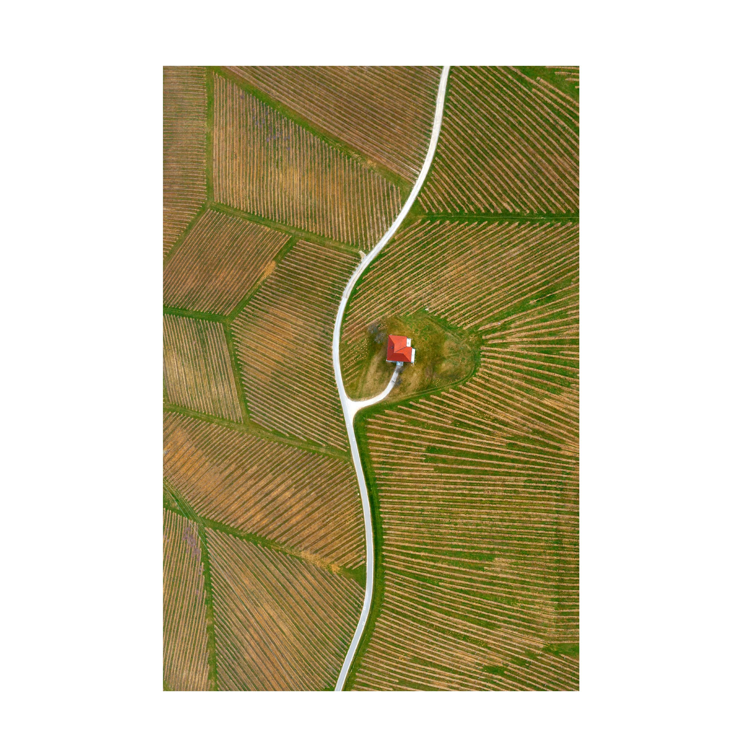 Trademark Fine Art 'Vineyards' Canvas Wall Art by Jure Kravanja - Hand-Painted Landscape Painting for Living Room, Bedroom & Office Decor