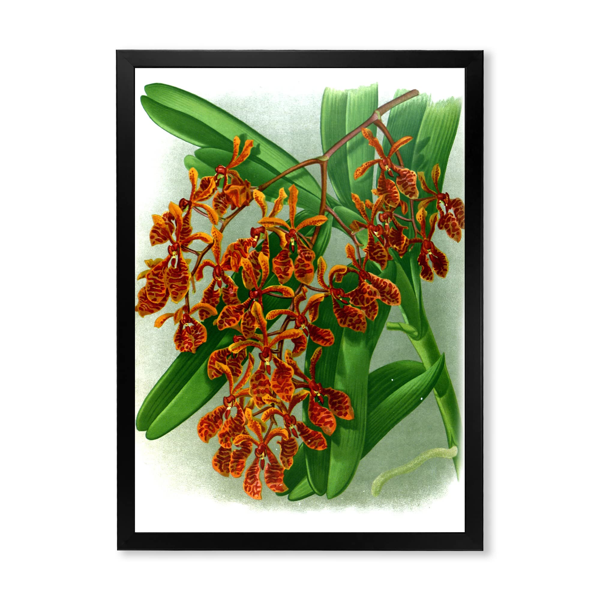 Vintage Floral Farmhouse Wall Art - Retro Flowers II Framed Canvas Print for Living Room, Bedroom & Home Decor