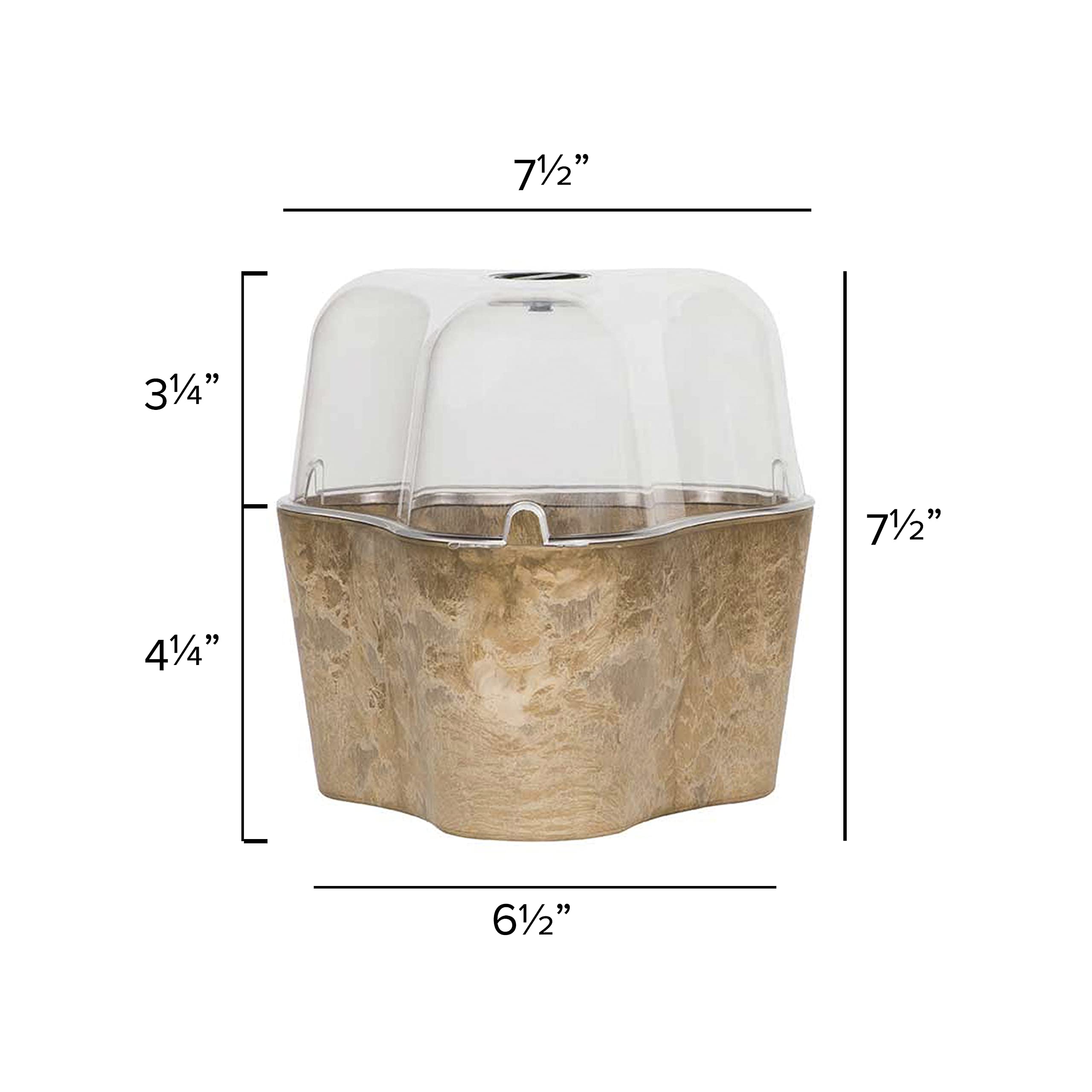 Tri-Pot Terrarium - 3 Piece Glass Plant Terrarium Kit for Succulents, Air Plants & Home Decor | Perfect for Indoor Gardening, Office Desk & Gift Ideas