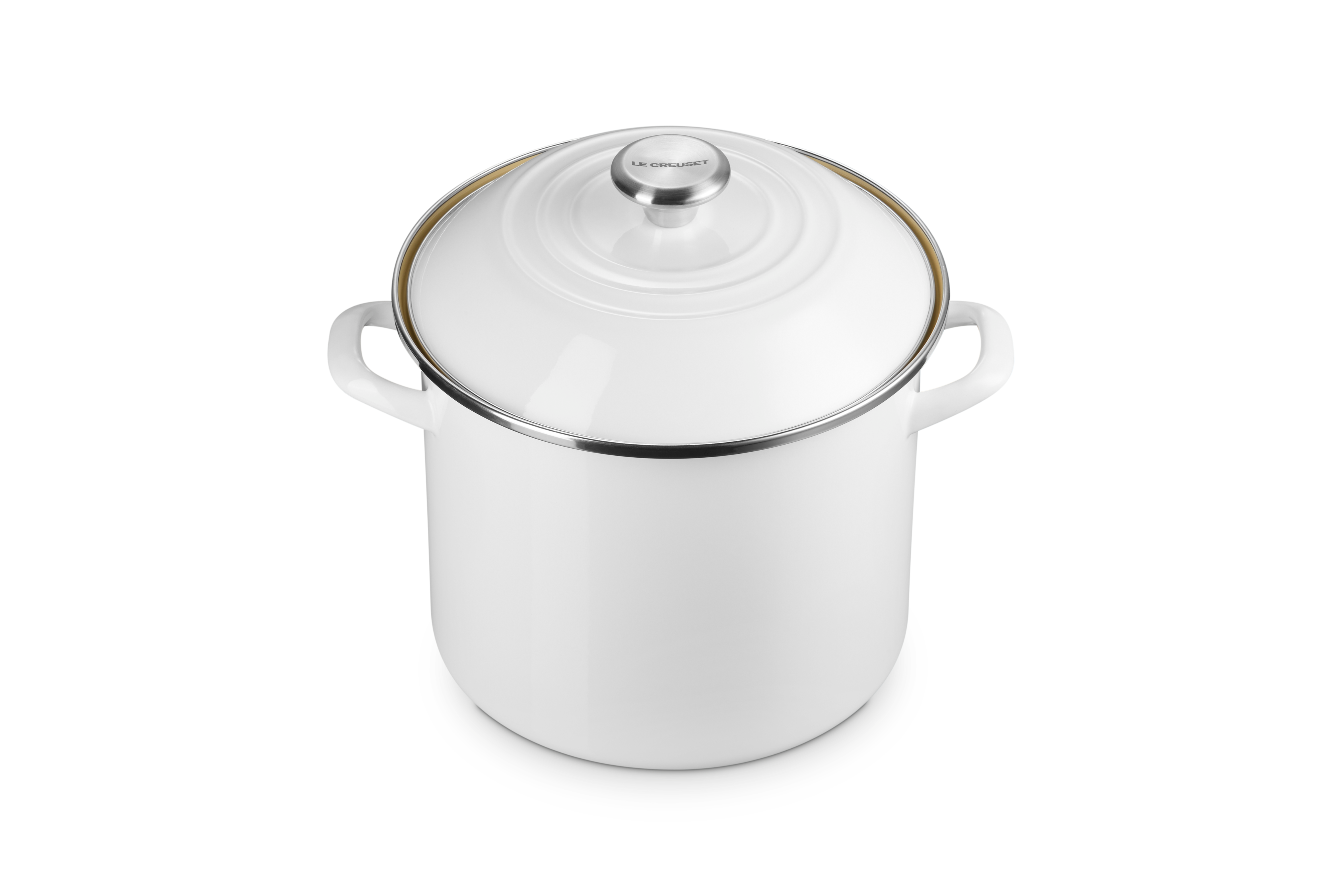 10 Qt. Stainless Steel Stock Pot with Lid - Large Cooking Pot for Soups, Stews, Pasta & Canning - Perfect for Home Kitchen & Commercial Use