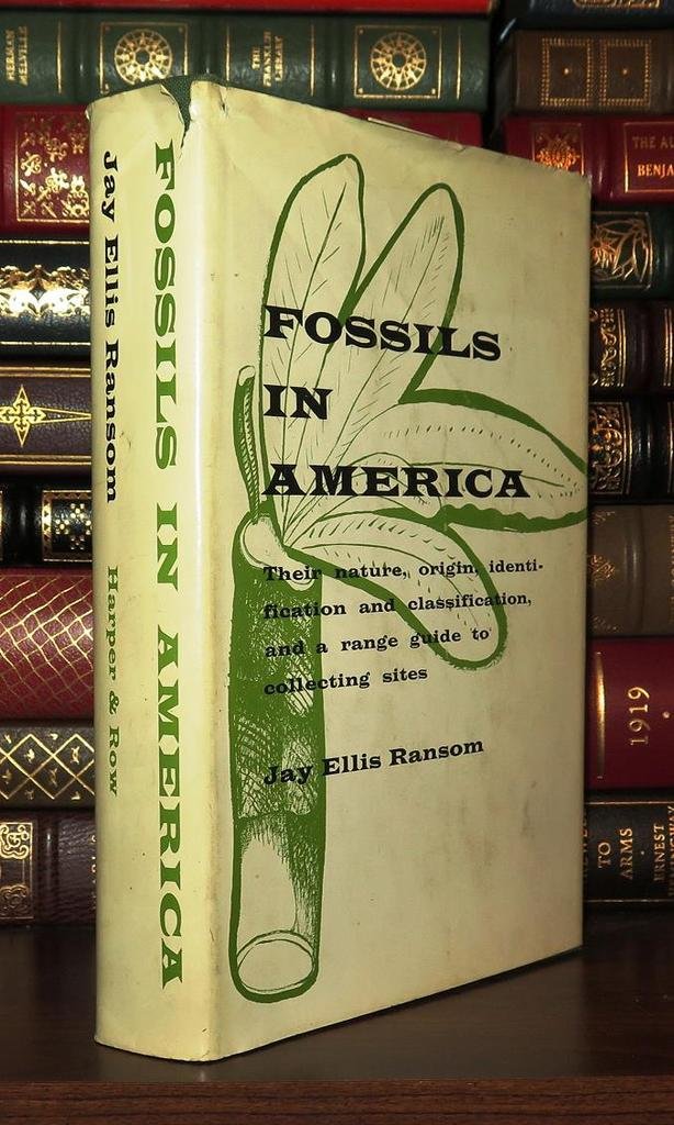 Fossils in America: Types, Origins, Identification & Classification Guide with Best Collecting Sites for Paleontology Enthusiasts | Perfect for Educational Use, Museum Displays, and Fossil Hunting Adventures