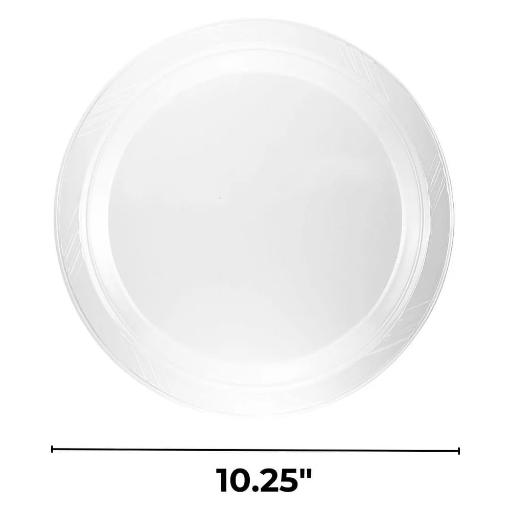 Clear Plastic Plates 10.25