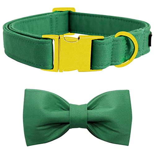 suit-Jade green
