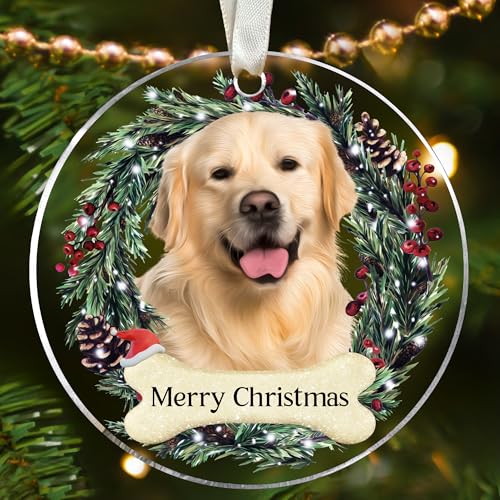 Dog Golden Retriever