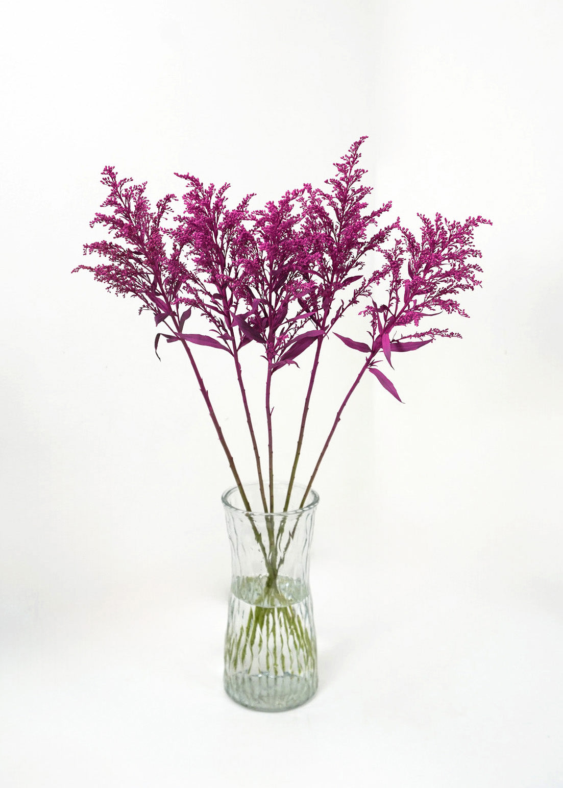 Premium Dried Solidago Aster Flowers for Home Decor, DIY Crafts, and Floral Arrangements - Natural Yellow Goldenrod Blooms for Bouquets, Centerpieces, and Wedding Decorations