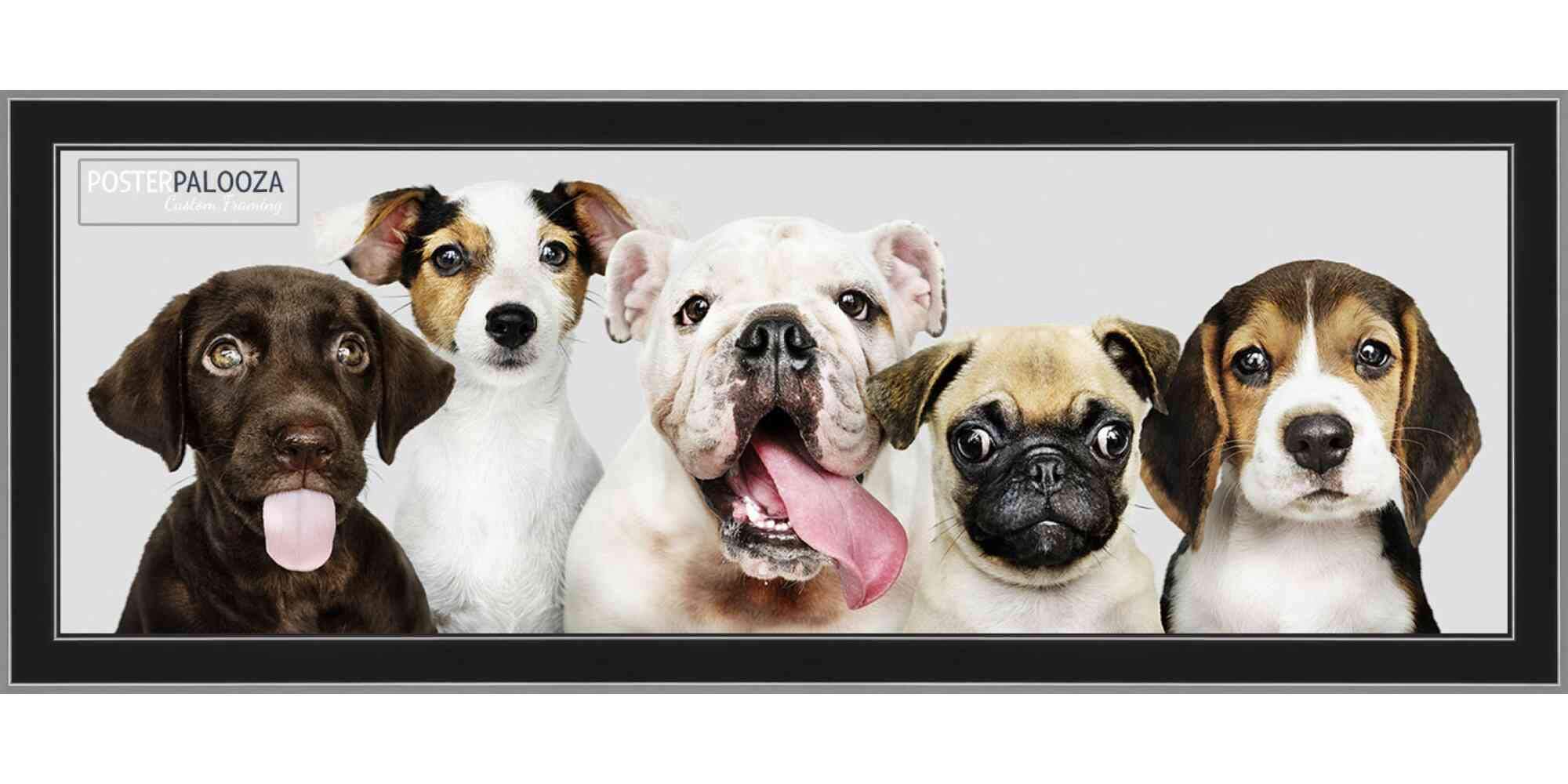 13.5x40 Modern Black Wood Panoramic Picture Frame with UV Protective Acrylic & Foam Board Backing - Complete Hanging Hardware Included - Perfect for Wall Art, Home Decor & Office Display