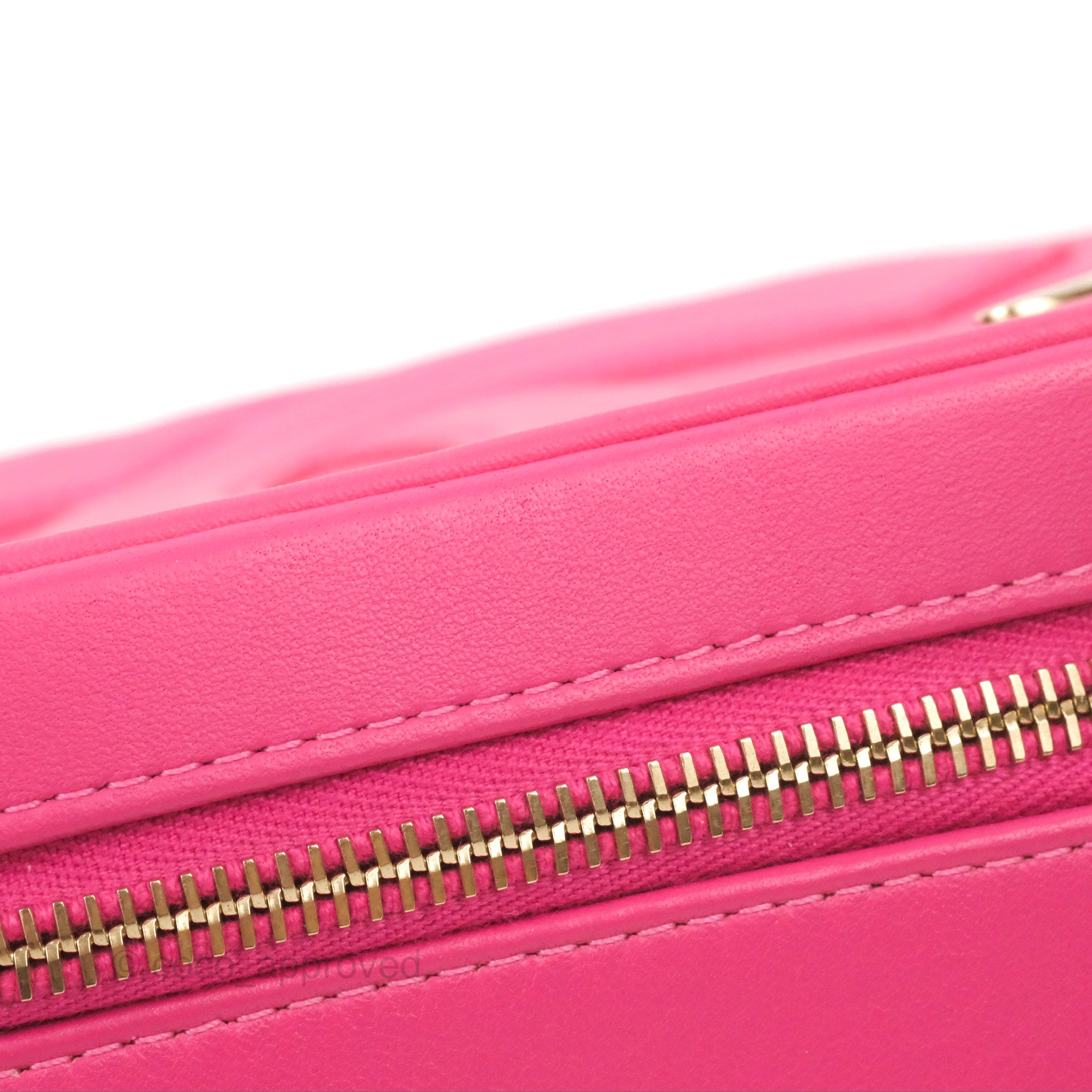 Chanel CC Mania Camera Bag in Pink Lambskin Leather with Gold Hardware - Perfect for Everyday Use, Travel & Fashion Accessories