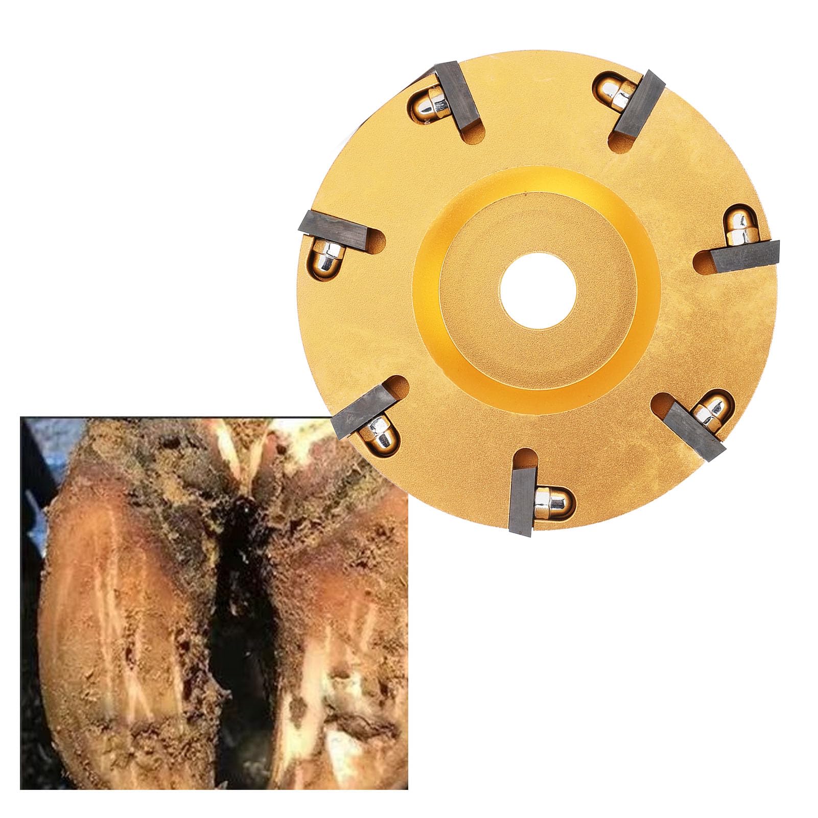 Livestock Hoof Trimming Disc - Durable Metal Alloy Hoof Grinder for Cattle, Sheep & Horses | Professional Hoof Care Tool for Farmers & Ranchers | Perfect for Barn Maintenance & Livestock Grooming