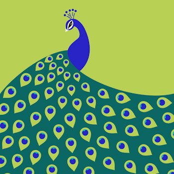 Kim Malek Needlepoint Kit - Peacock Design Embroidery Art for Beginners | DIY Home Decor & Thoughtful Gift Idea
