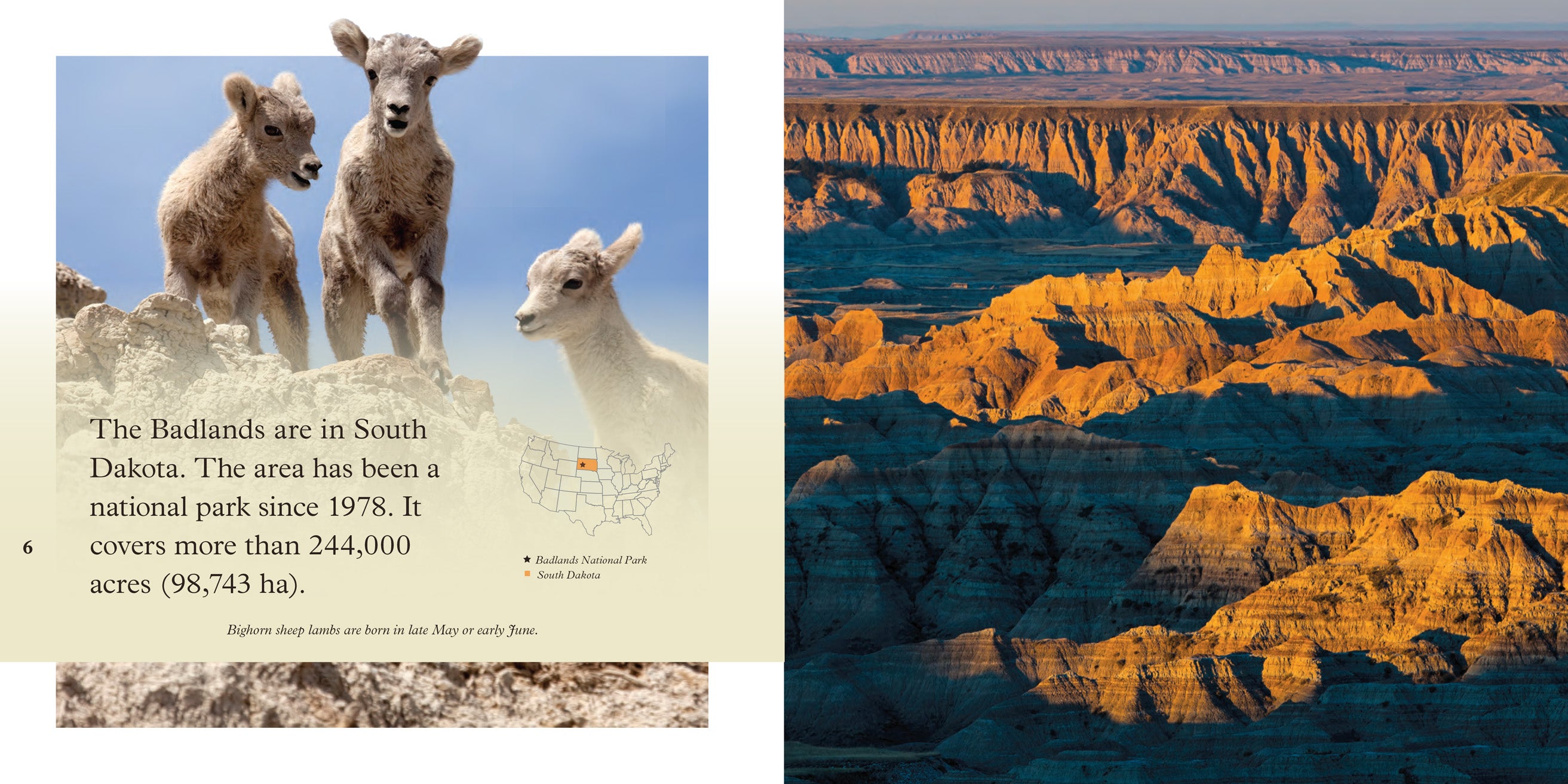 Badlands 9781640260658 - Adventure Novel for Outdoor Enthusiasts | Perfect for Camping, Hiking & Travel Reading