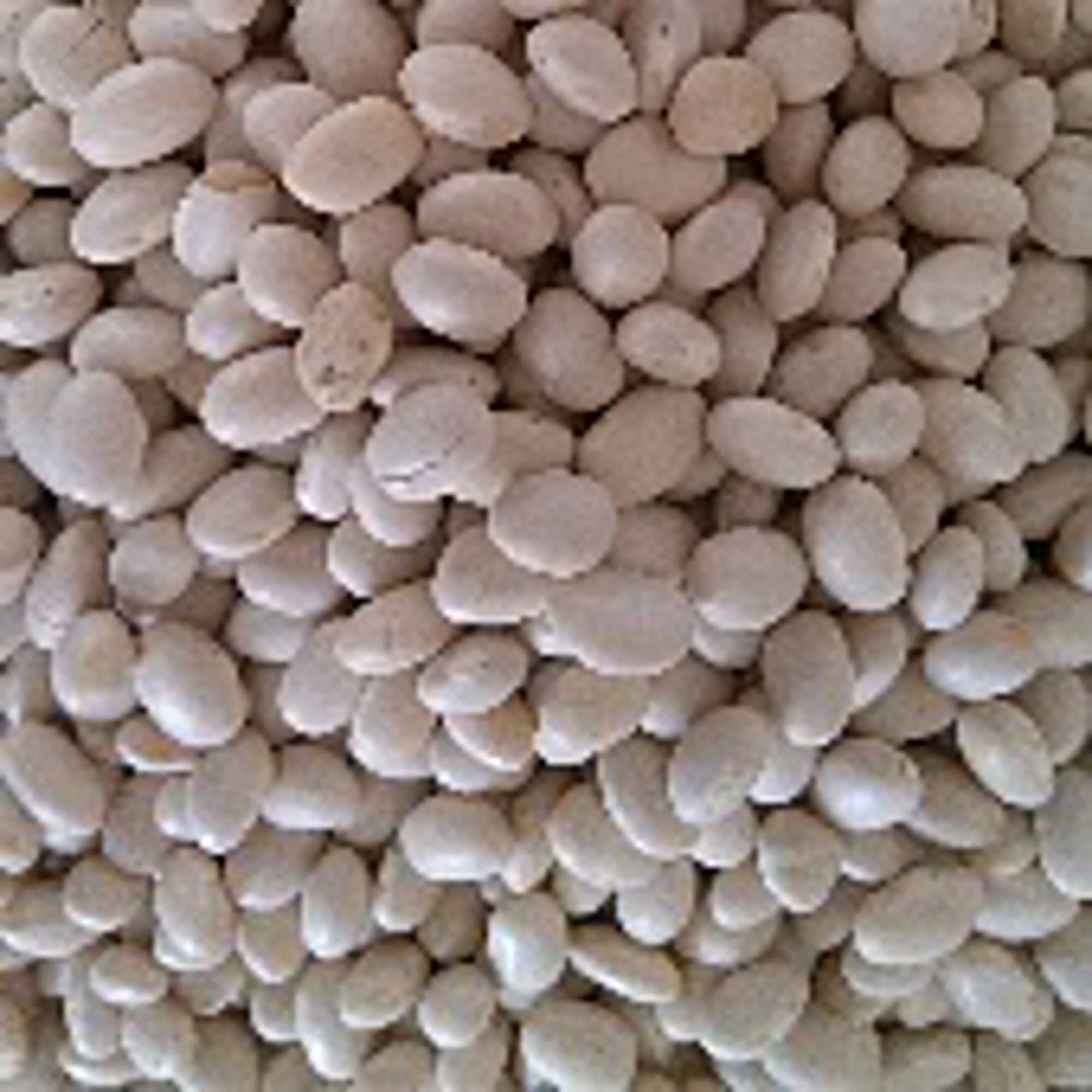 Organic Navy Beans Seeds (20+ Seeds) | Non-GMO Heirloom Vegetable Seeds for Planting | Home Garden, Greenhouse & Container Gardening | Perfect for Soups, Stews & Healthy Recipes