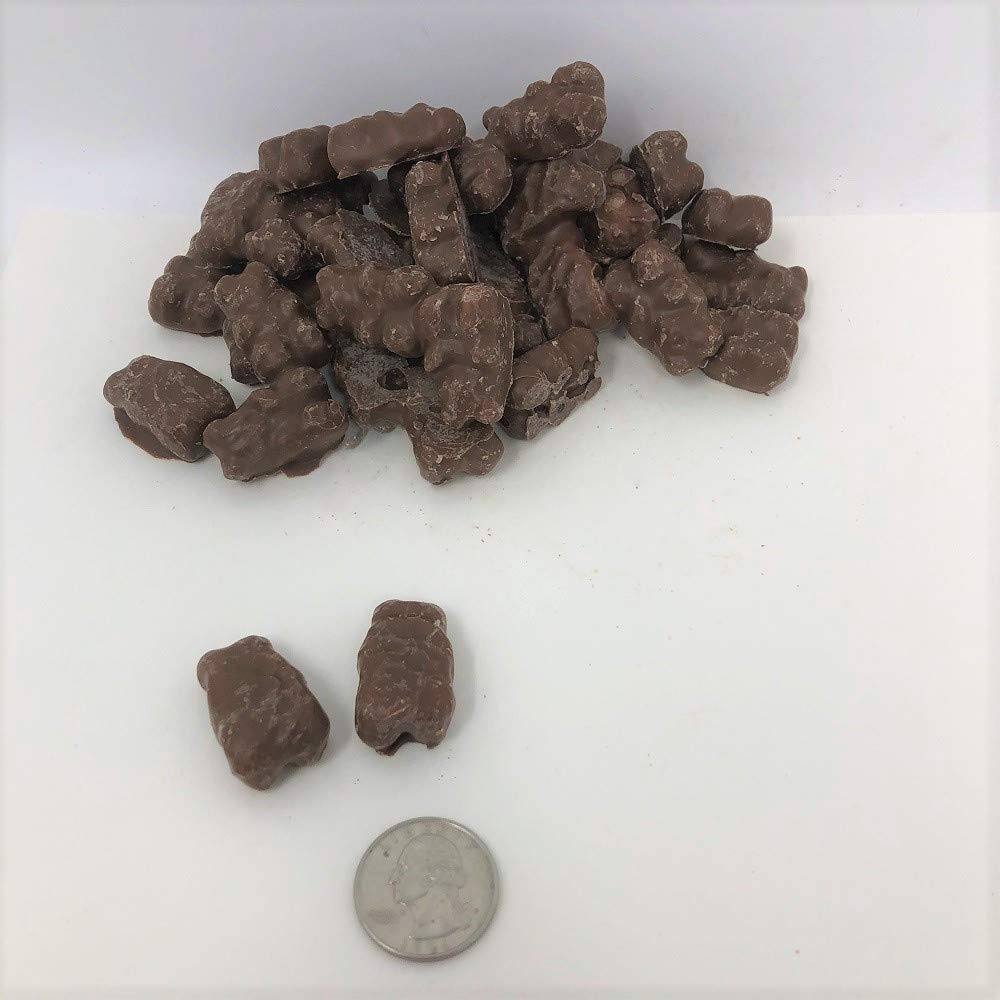 Chocolate Covered Gummi Bears 5lbs - Bulk Candy for Parties & Gifts