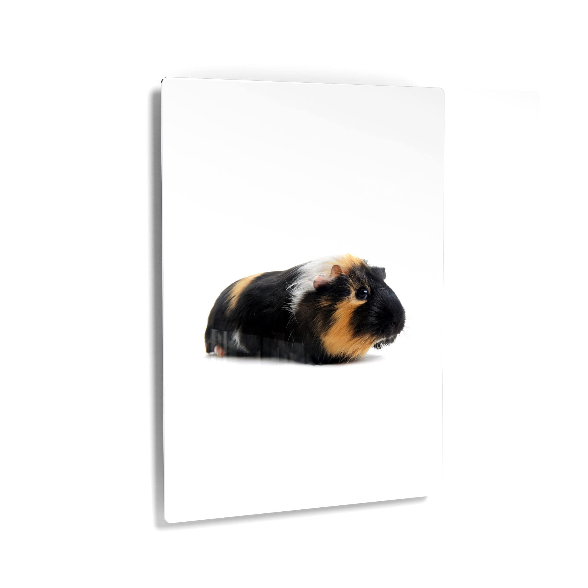 Smile Art Design Cute Black Guinea Pig Portrait Metal Wall Art Print - Pet Lover Gift, Rodent Decor for Office, Living Room, Bedroom, Nursery - Made in USA (17x11 in) - Perfect for Animal Lovers & Home Decor