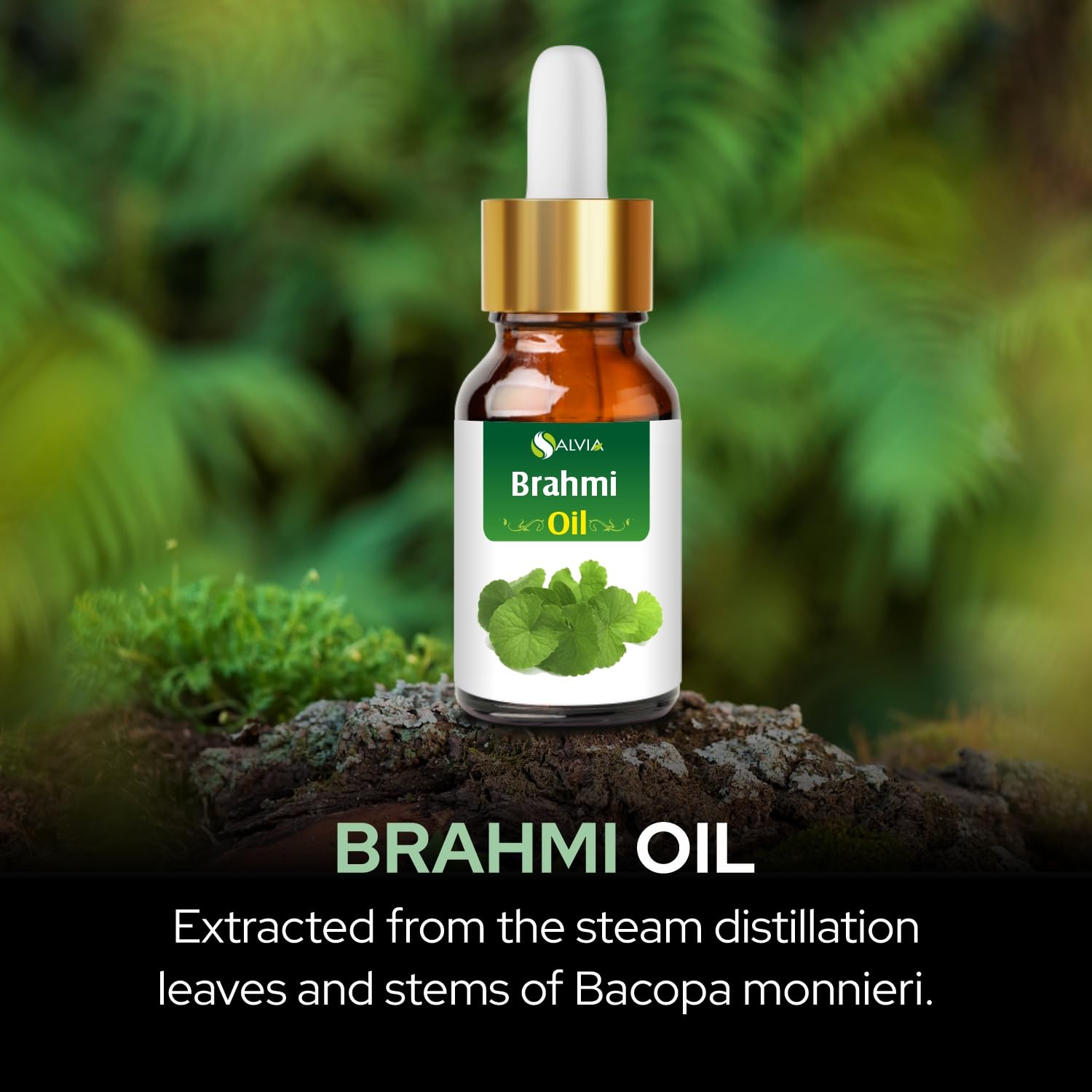 Organic Brahmi Oil (Bacopa Monnieri) 100ml with Dropper - Pure Carrier Oil for Hair Growth, Scalp Care & Stress Relief - Perfect for Ayurvedic Massage & Aromatherapy