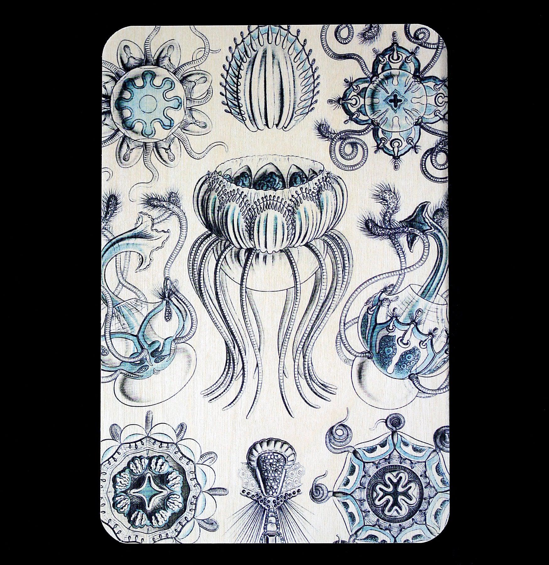 Ocean Themed Wooden Postcards - Handcrafted Beach & Nautical Decor for Home, Office, or Gift - Perfect for Travel Lovers & Coastal Theme Enthusiasts