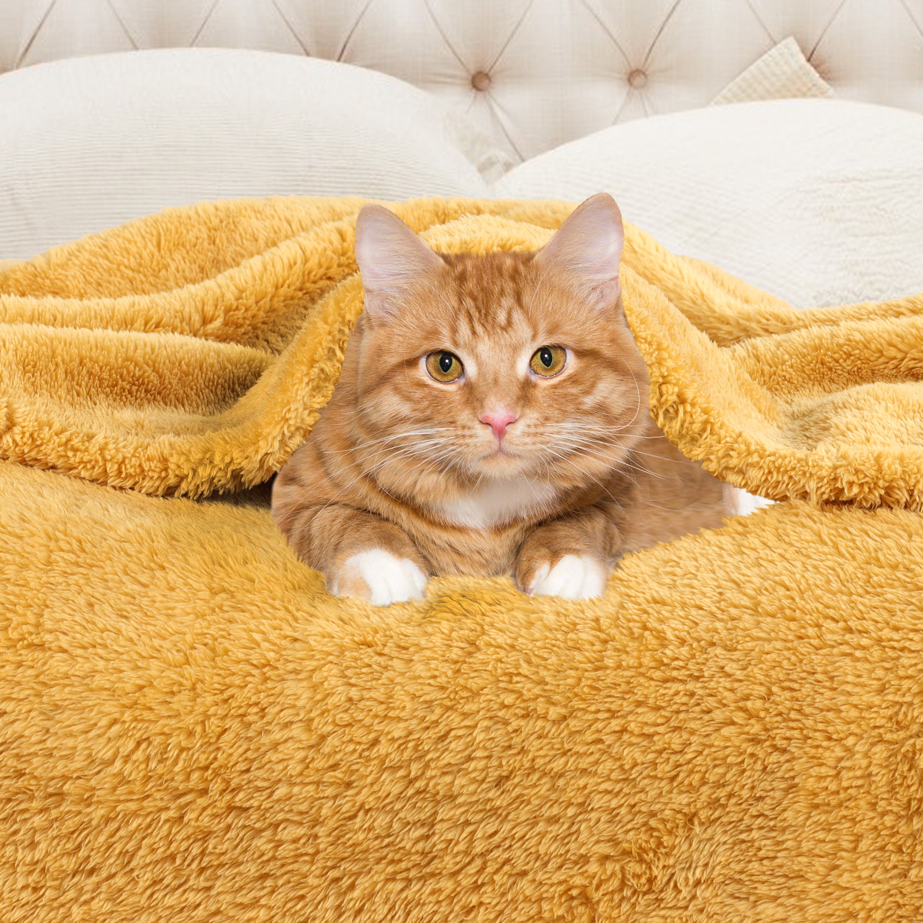 Classic Solid Fleece Plush Medium Weight Fluffy Soft Blanket - Cozy & Warm for Bed, Sofa, Travel & Gifts | Ultra-Soft Throw Blanket for All Seasons