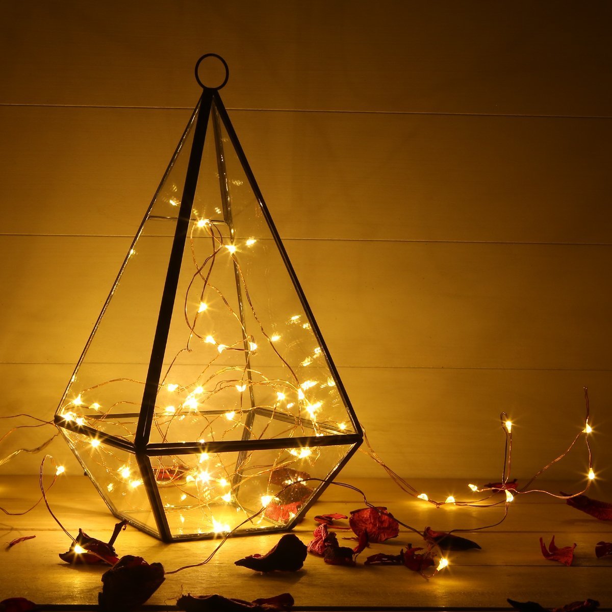 ER CHEN Battery Operated Micro LED String Lights - 100 Warm White LEDs on 33ft Copper Wire, 8 Lighting Modes with Wireless Remote | Perfect for Bedroom, Wedding, Party & Outdoor Decoration