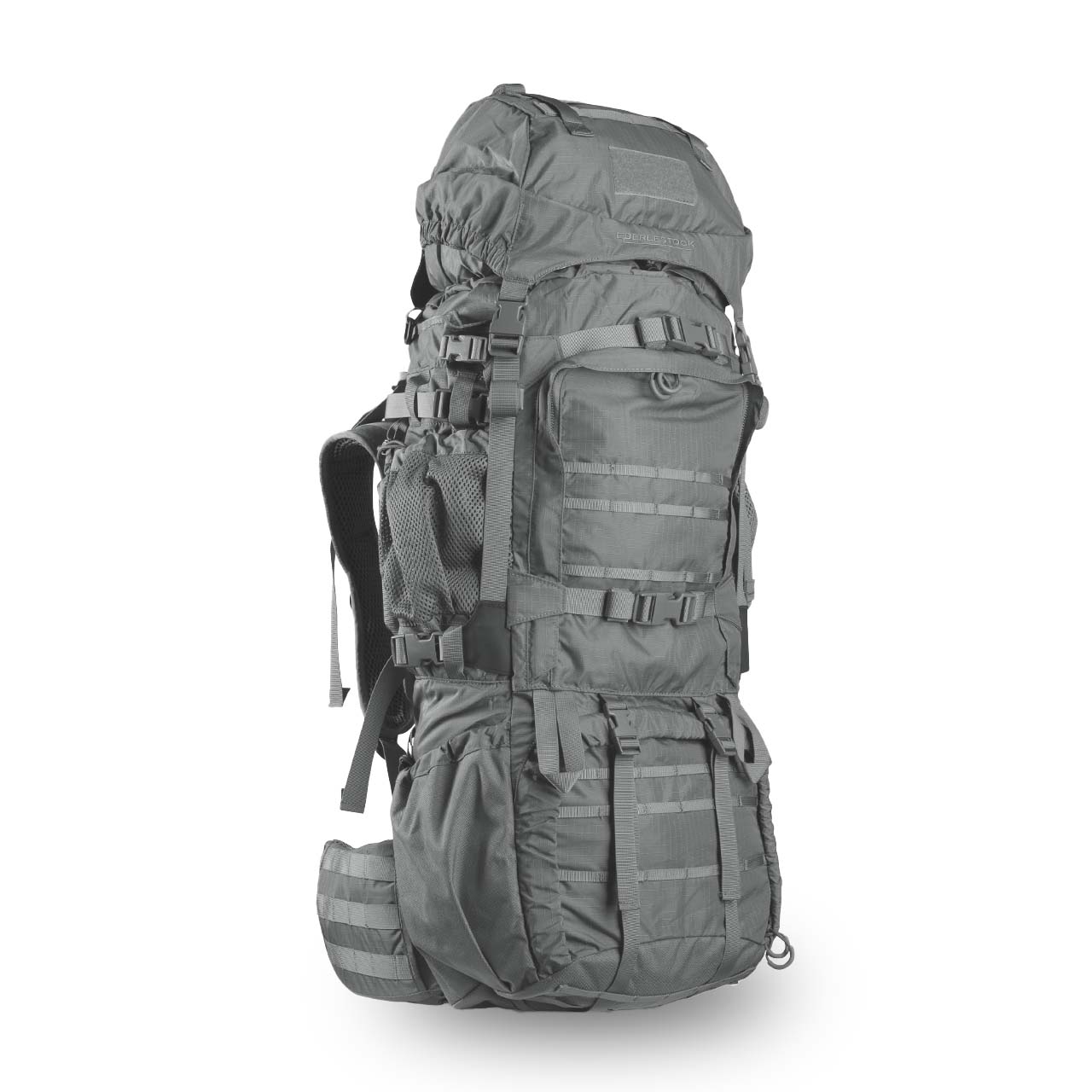 Multicam