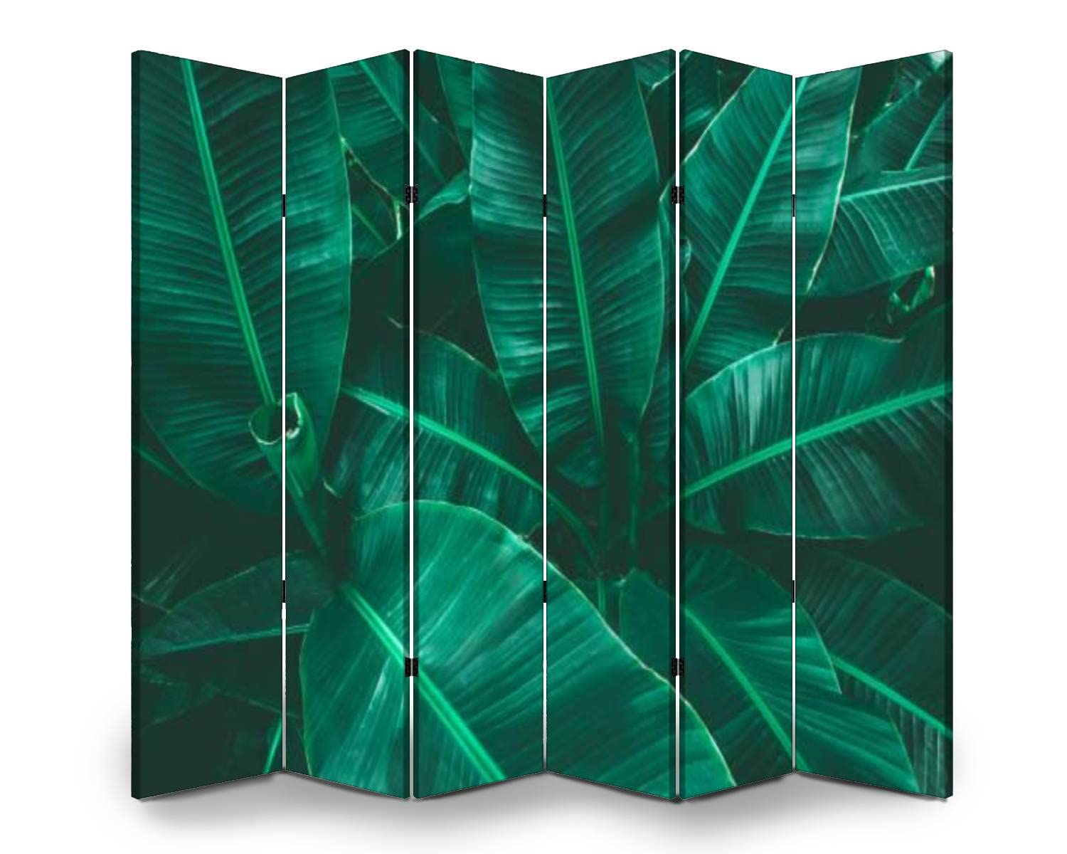 6 Panel Folding Room Divider - Tropical Banana Leaf Design Canvas Privacy Screen for Indoor Spaces | Freestanding Partition for Bedroom, Office, Yoga Studio & Home Decor