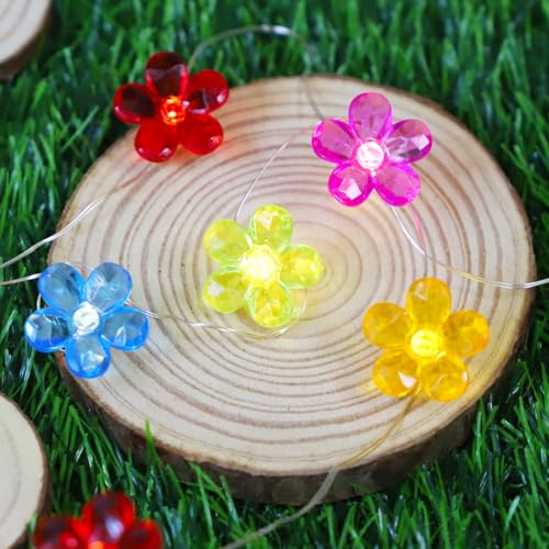 5 Colors Flowers