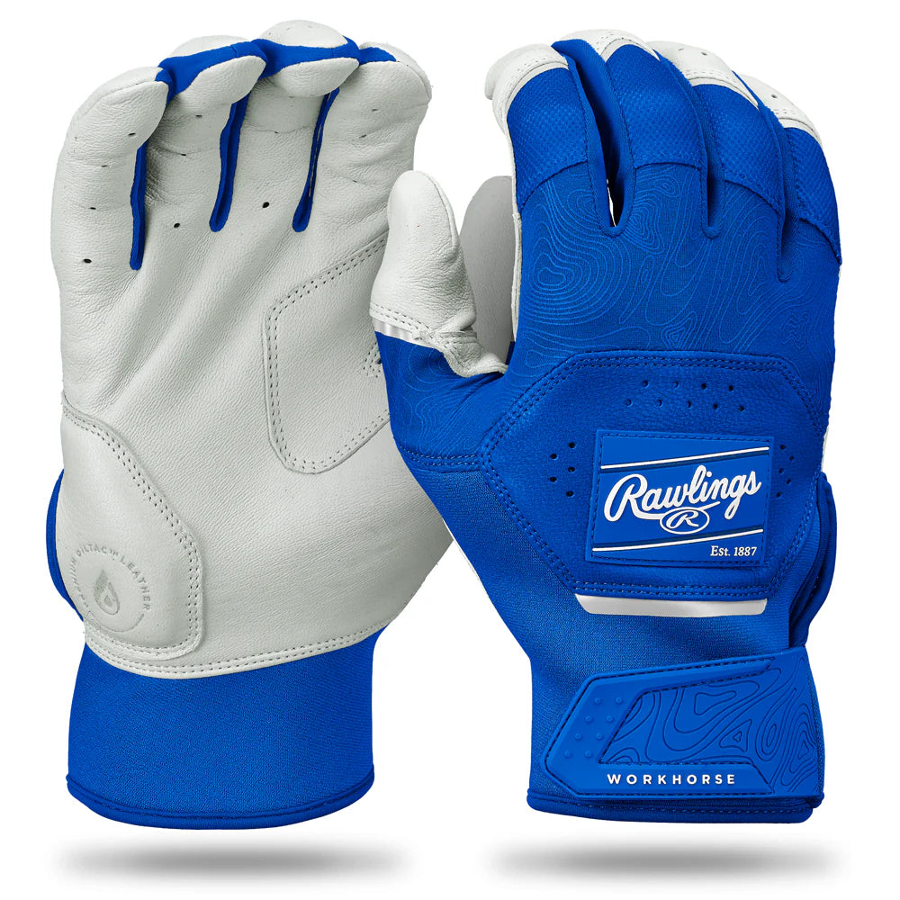 White/Royal