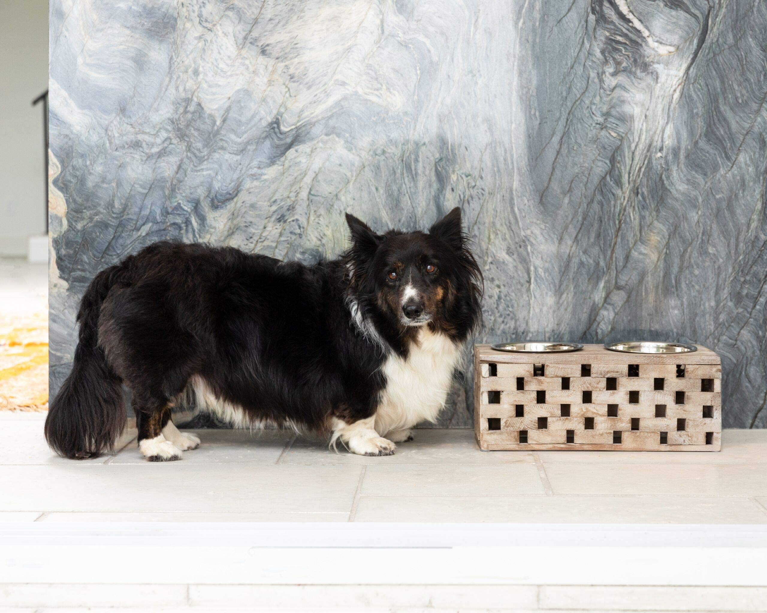 Stainless Steel Elevated Double Bowl Pet Feeder for Dogs & Cats - Large Size, Berjen Block Design - Perfect for Indoor & Outdoor Feeding