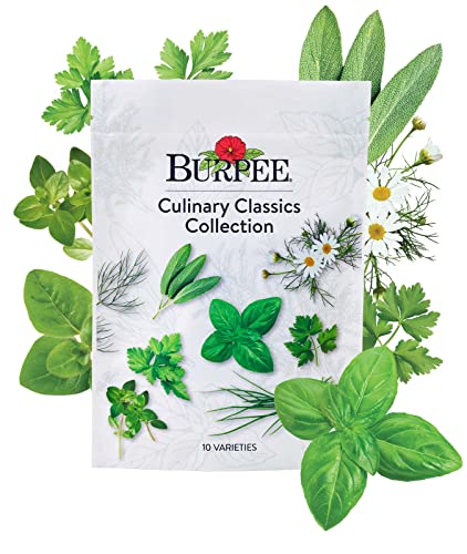 Culinary Classics Herb Collection