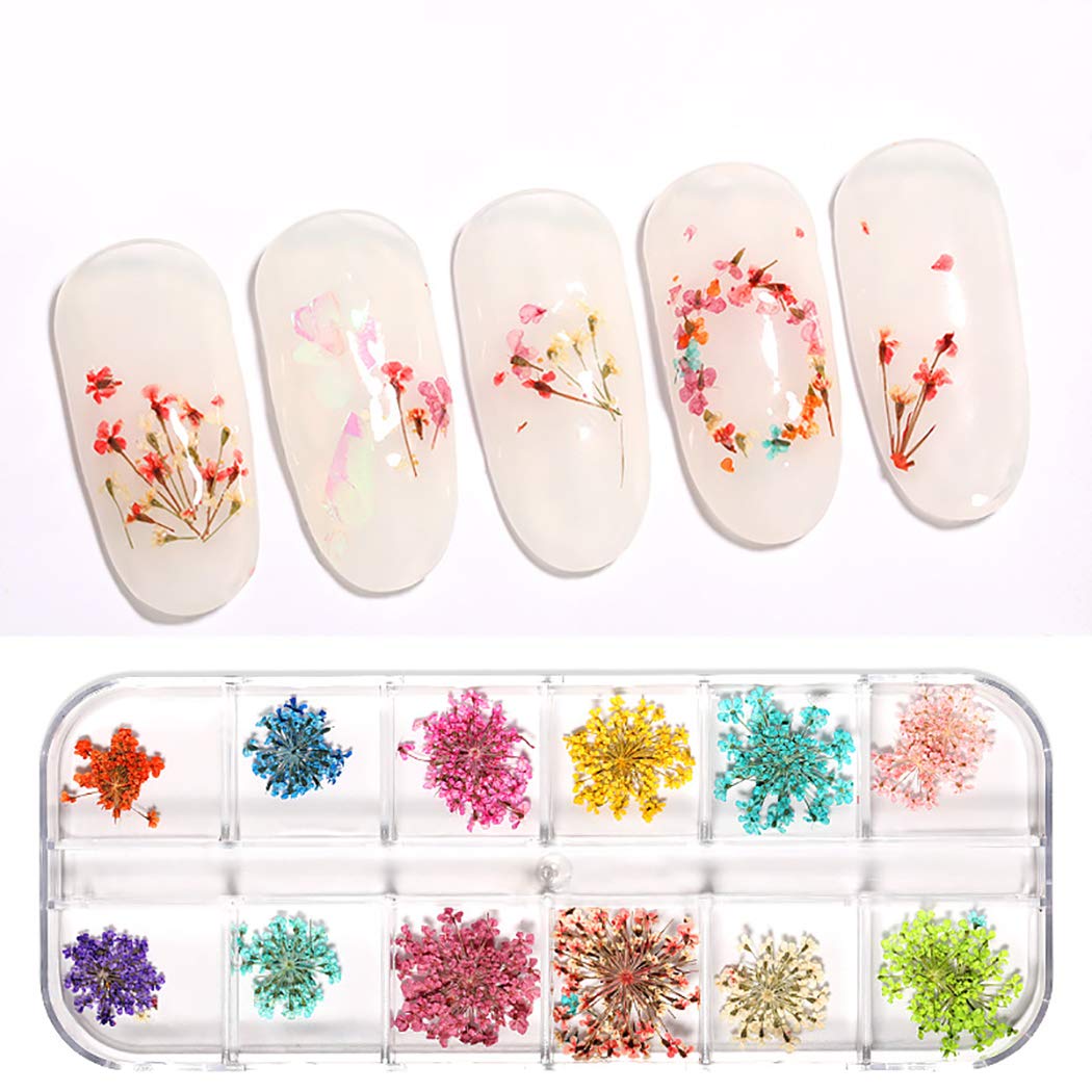Dorakitten 3 Sets Pressed Dried Flower Nail Art Decorations - Floral Nail Art Supplies & Accessories for DIY Manicure, Wedding, Party Nail Designs