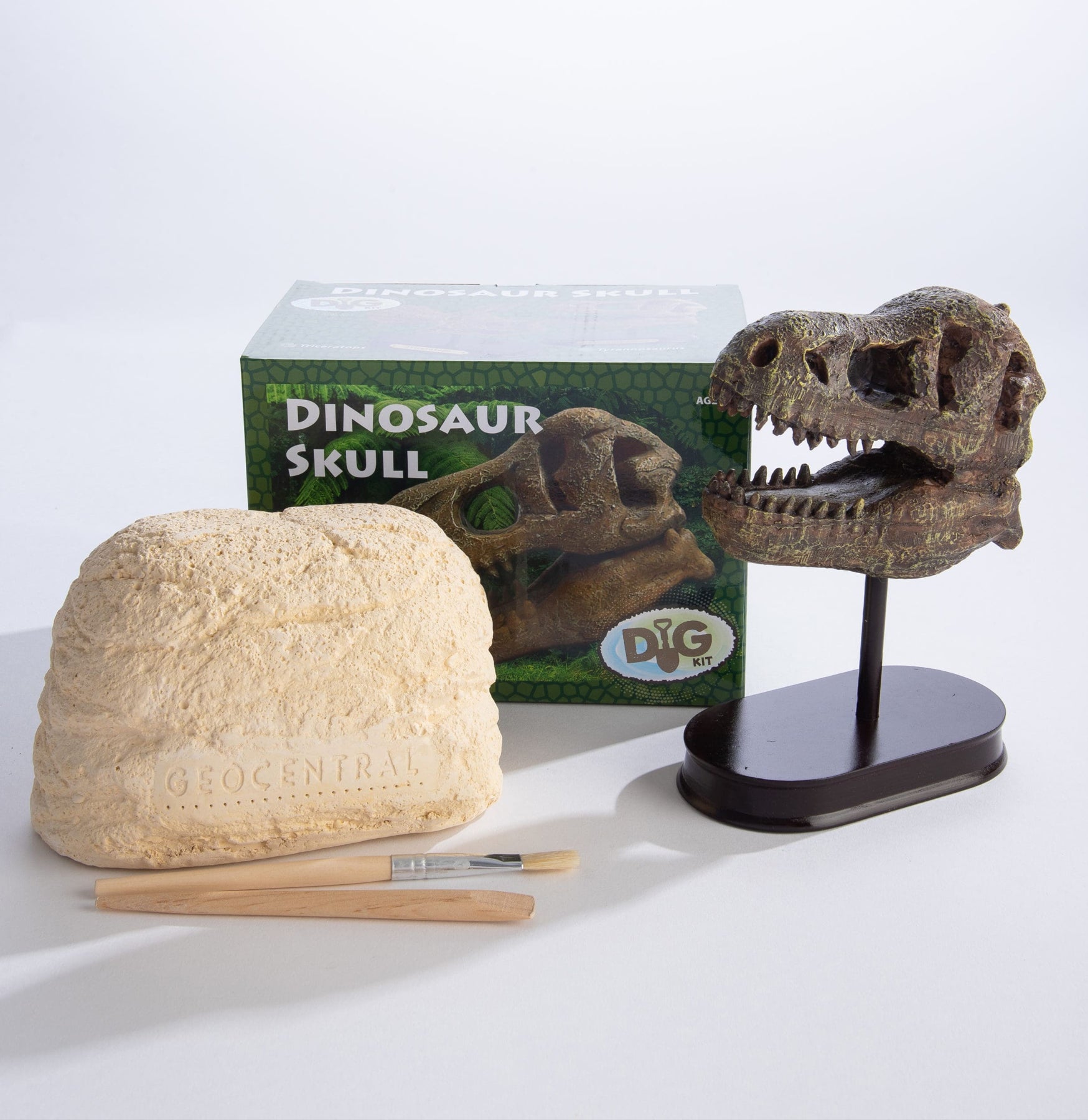 Dinosaur Excavation Kit - Dig Up & Discover a Realistic Dino Skull Fossil - Perfect for STEM Learning & Kids Archaeology Adventure