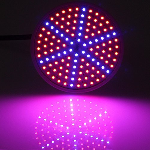 Superdream 15W Full Spectrum LED Grow Light Bulbs for Indoor Plants - Energy Efficient Plant Growing Lamp for Seedlings, Herbs, Succulents & Hydroponics - Perfect for Home Gardening, Greenhouse & Indoor Farming