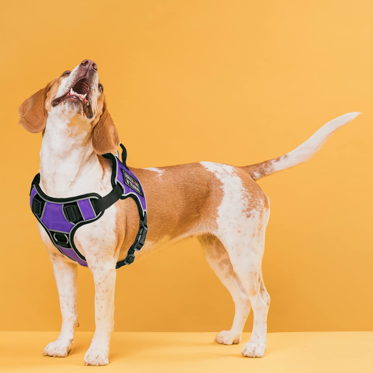No-Pull Dog Harness with Reflective Patches & Quick Release Buckles - Adjustable 36-45