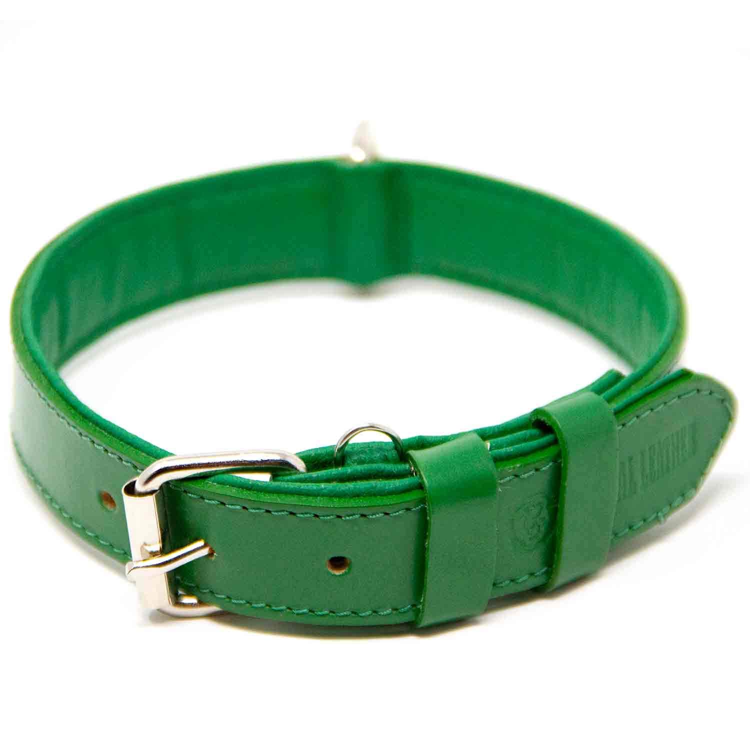 Premium Full Grain Leather Dog Collar for Medium Dogs - Padded Comfort, Durable & Adjustable (Green) - Perfect for Daily Walks, Training & Outdoor Adventures