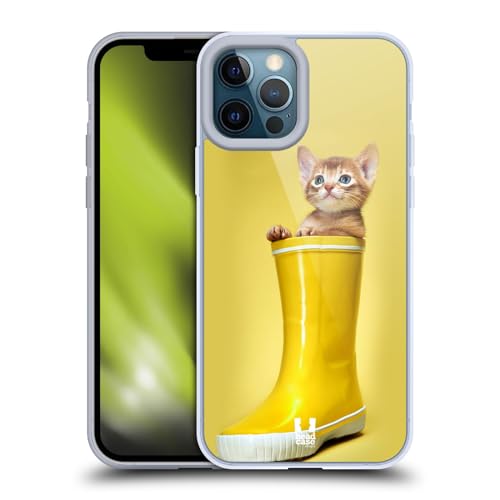 Abyssinian Kitty In A Boot