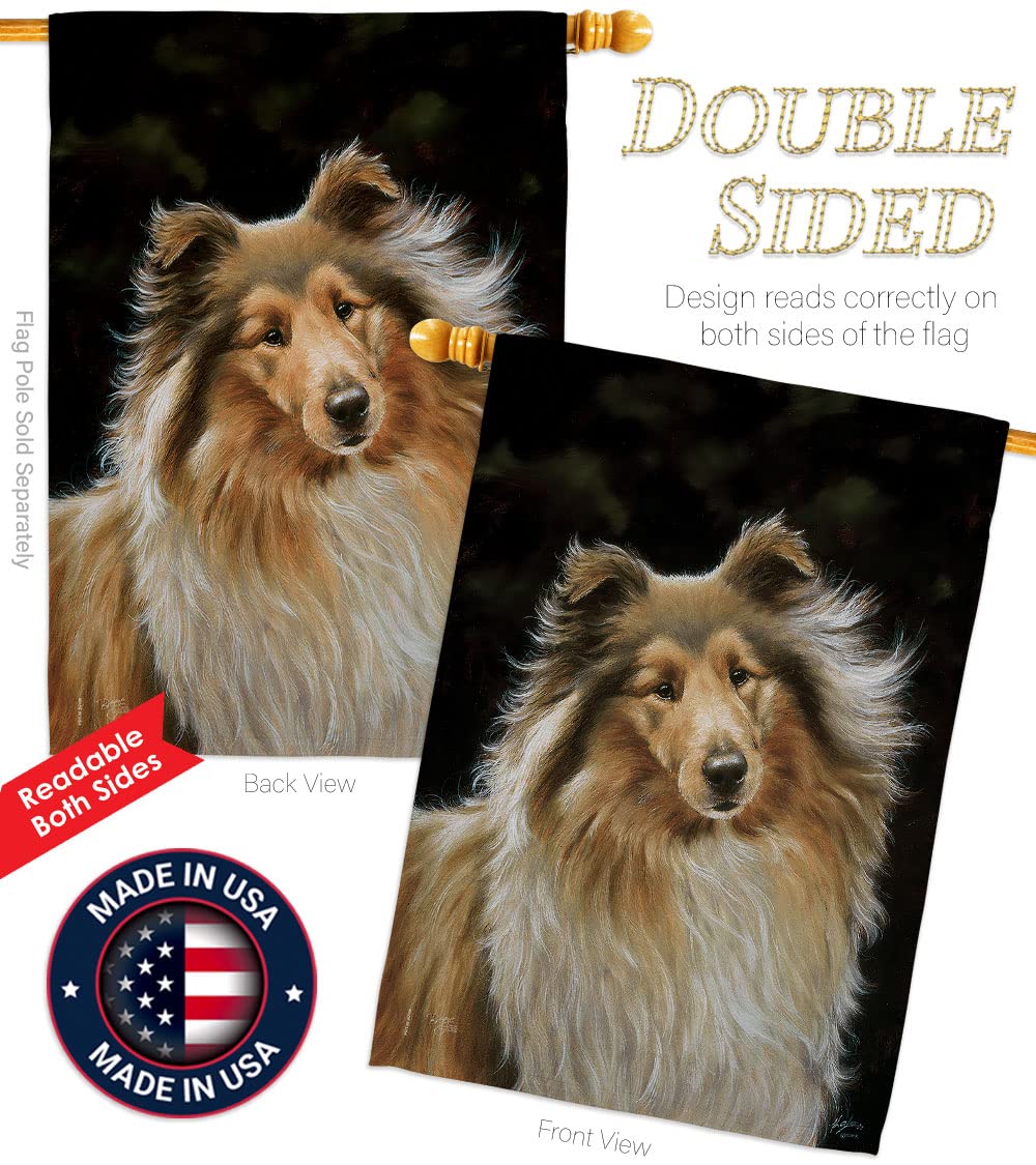 Collie Pet House Flag Set 28x40