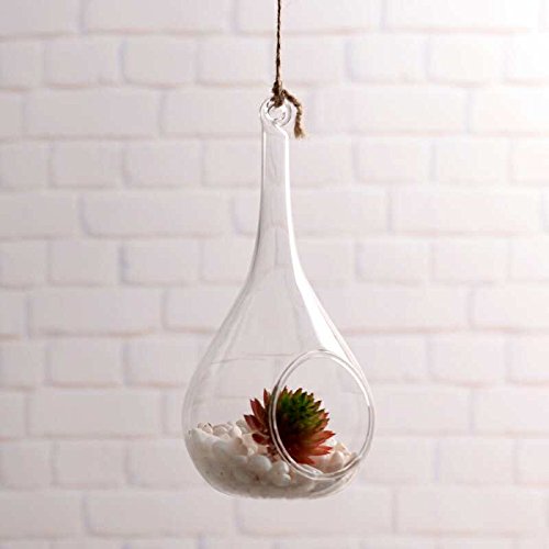 2 Pack Glass Hanging Candle Holders & Succulent Planters - Indoor/Outdoor Decorative Hanging Glass Plant Pots for Air Plants, Flowers & Terrariums - Perfect for Patio, Garden, Balcony & Home Decor
