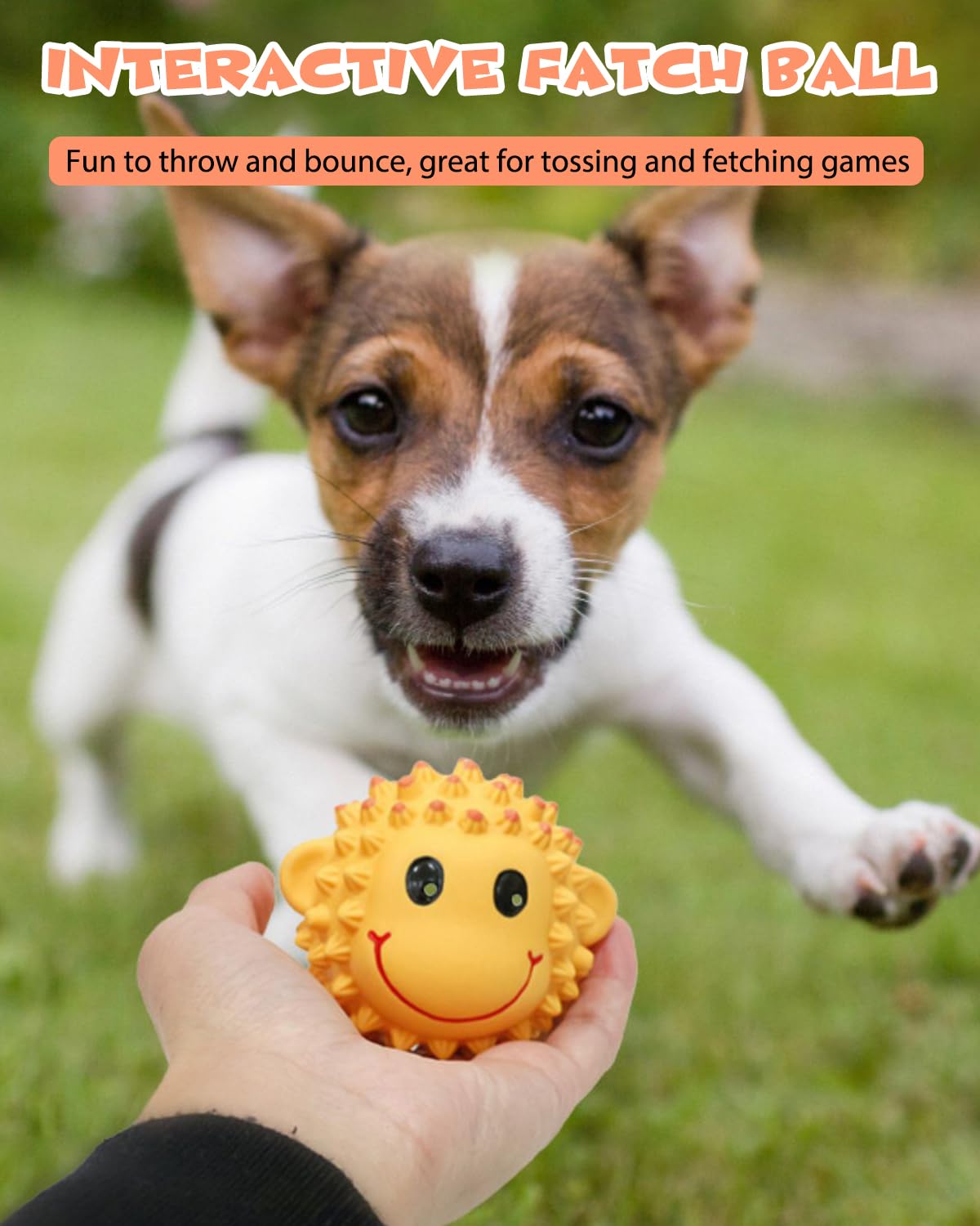 SCHITEC Squeaky Dog Toys for Small & Medium Dogs - 3'' Interactive Latex Squeak Fetch Balls [2 Pack] - Spiky Soft Rubber Puppy Chew Toys for Teeth Cleaning & Playtime | Perfect for Indoor/Outdoor Play, Training & Bonding with Your Pet