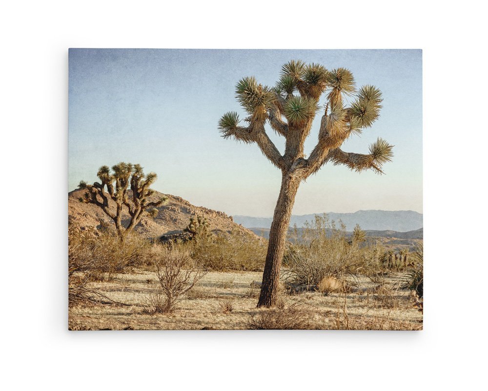 Large Format Canvas Print | Joshua Tree Wall Art | Southwestern Home Decor | California Desert Landscape Photography | Unframed Poster | Perfect for Living Room, Bedroom or Office Decor