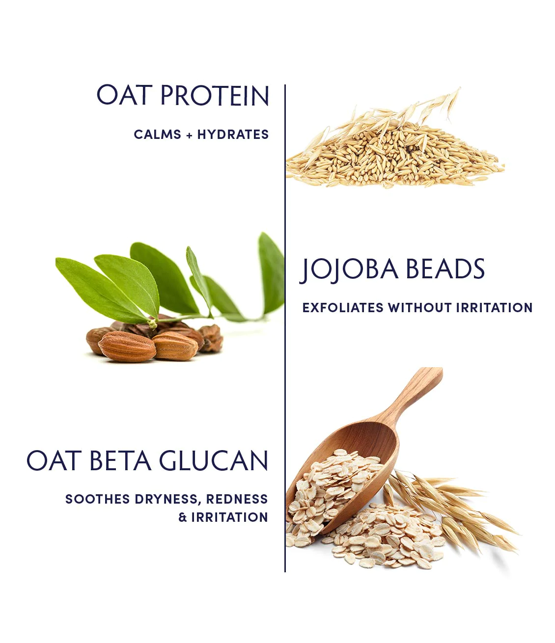 Naturopathica Oat Cleansing Facial Polish - Gentle Exfoliating Scrub for Sensitive Skin | Daily Face Wash & Brightening Treatment | Perfect for Dry, Acne-Prone Skin Care Routine