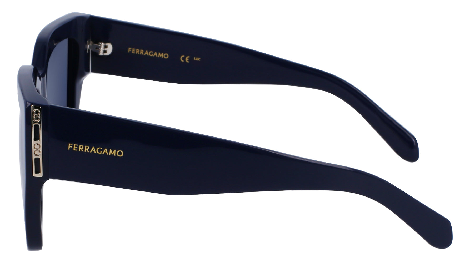 Ferragamo SF1104S Sunglasses for Women - Luxury Designer Shades with UV Protection - Perfect for Outdoor Activities, Travel, and Fashion Accessories