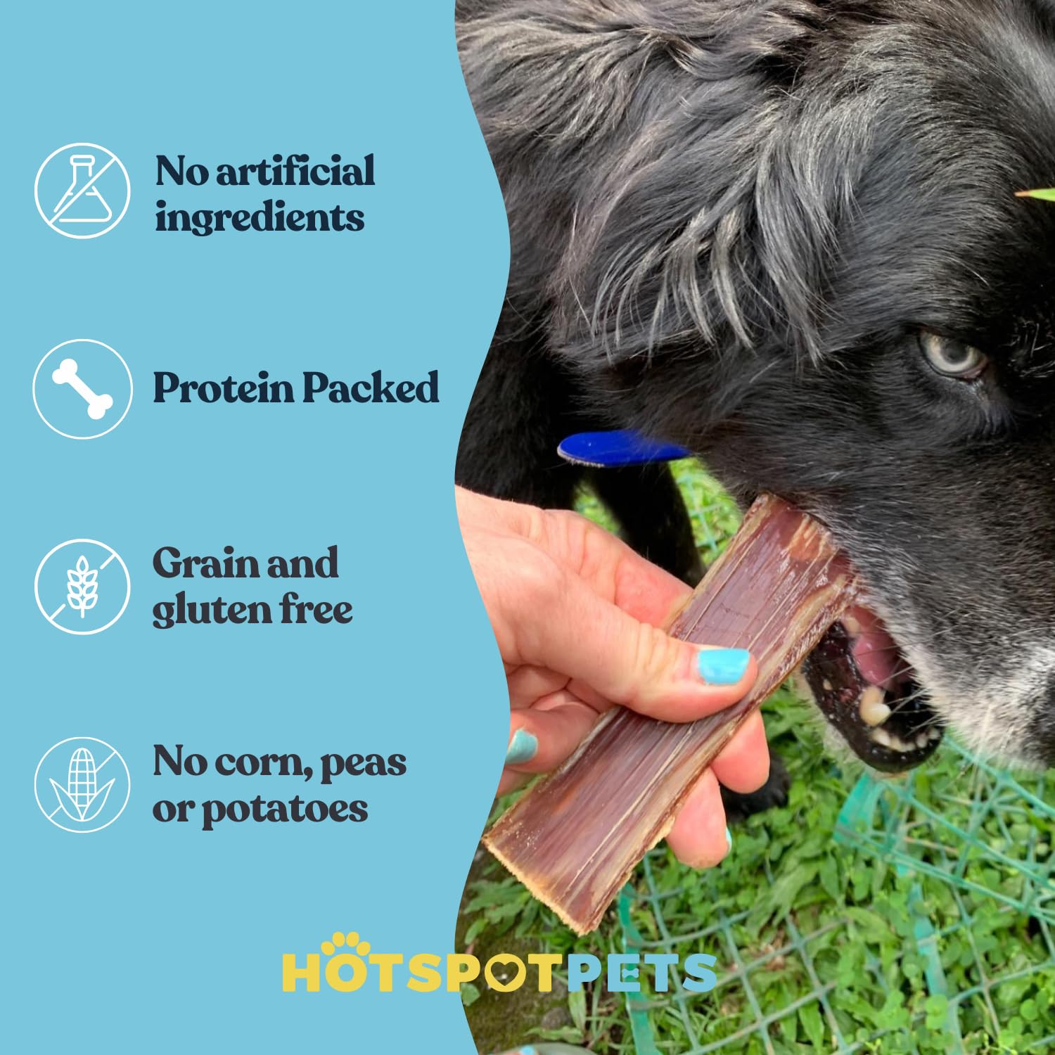 Premium Grass-Fed Beef Esophagus Dog Treats - 6 Inch All-Natural Chews, No Added Hormones, Rich in Glucosamine & Chondroitin for Joint Health (1LB Bag) - Perfect for Training, Dental Care & Senior Dogs