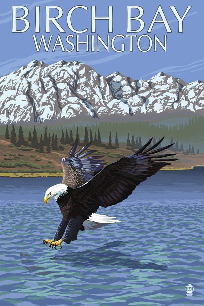 Eagle Fishing Metal Wall Art - 12x18 Gallery Quality Aluminum Decor for Home & Office - Birch Bay, Washington Landscape - Perfect for Living Room, Bedroom, or Cabin Decor